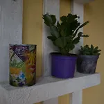 Annalu' Guspini