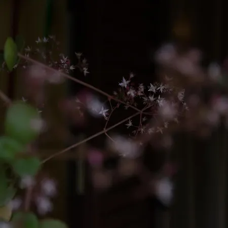 فندق مبيت وإفطار Annalu' 4*