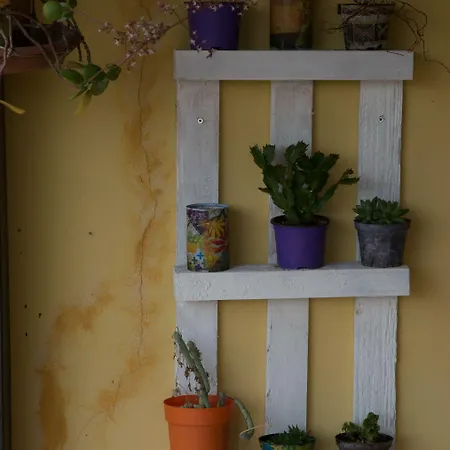 Alojamento de Acomodação e Pequeno-almoço Annalu'