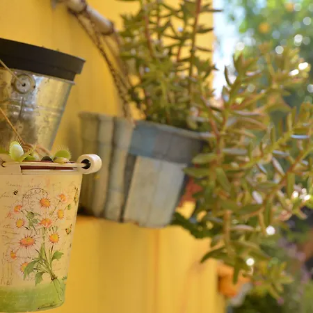 فندق مبيت وإفطار Annalu' 4*