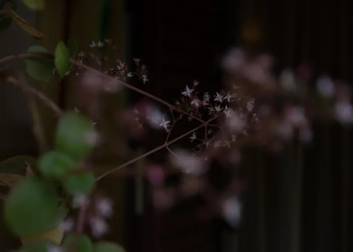 Nocleg ze śniadaniem Annalu' 4*