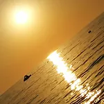 Annalu' 4* 구스피니