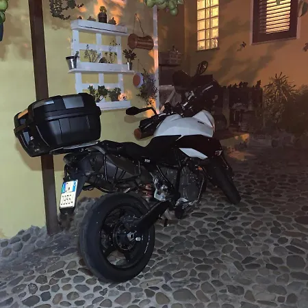 Annalu' 구스피니