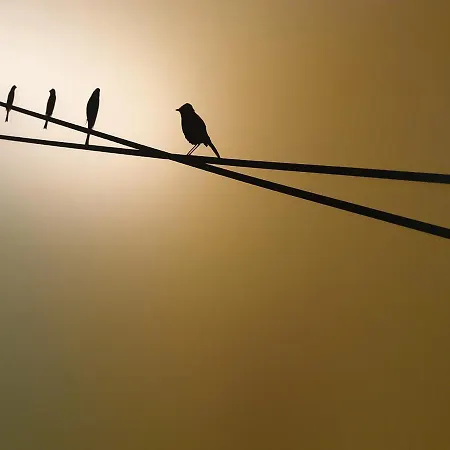 Annalu' B&B 구스피니