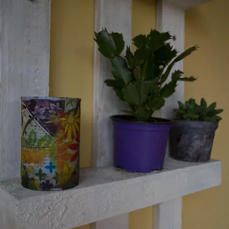 Annalu' 구스피니