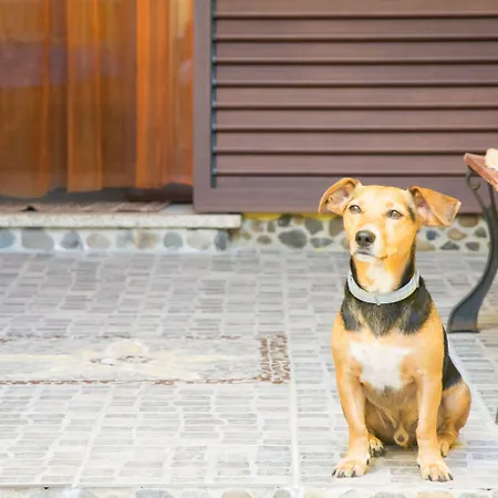 Bed & Breakfast Annalu' Guspini