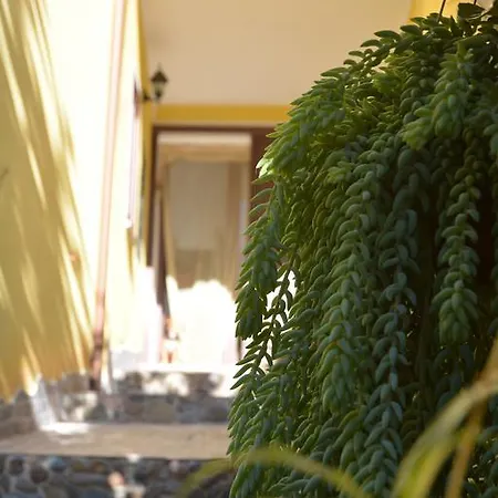 Annalu' Bed & Breakfast